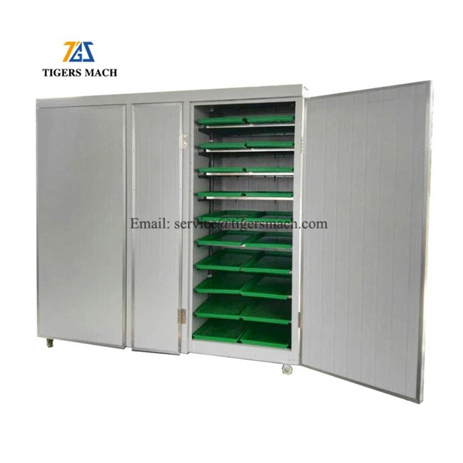 Wheat seeds growers for sale, fodder sprouting germinating machine from wheat seed for goat cattle (2)