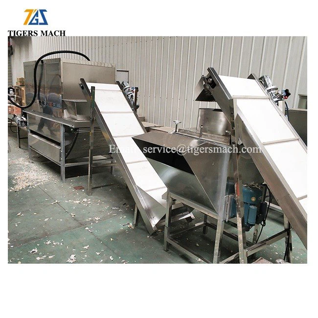 Industrial Peeled garlic process line