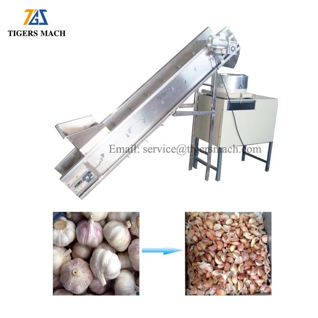 Peeled separator garlic process line